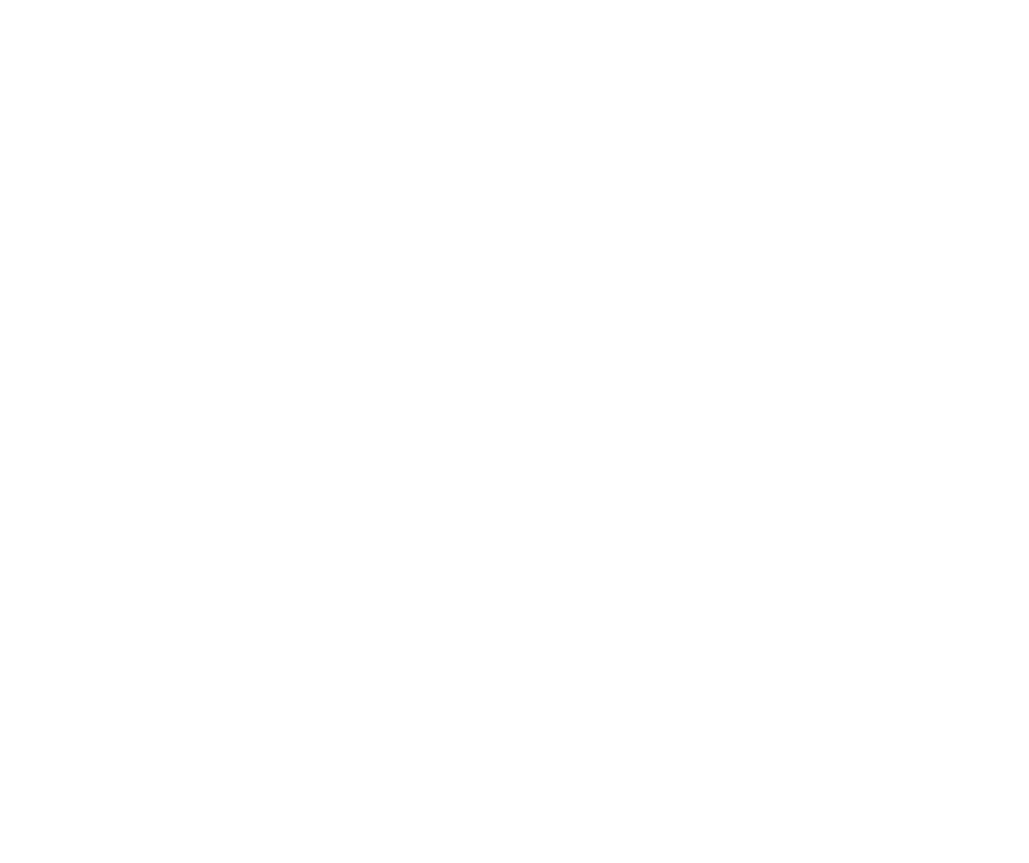 Expert Team, No Overhead